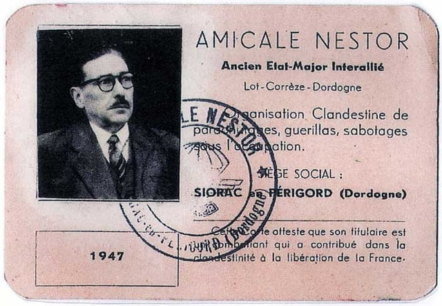 Amicale nestor