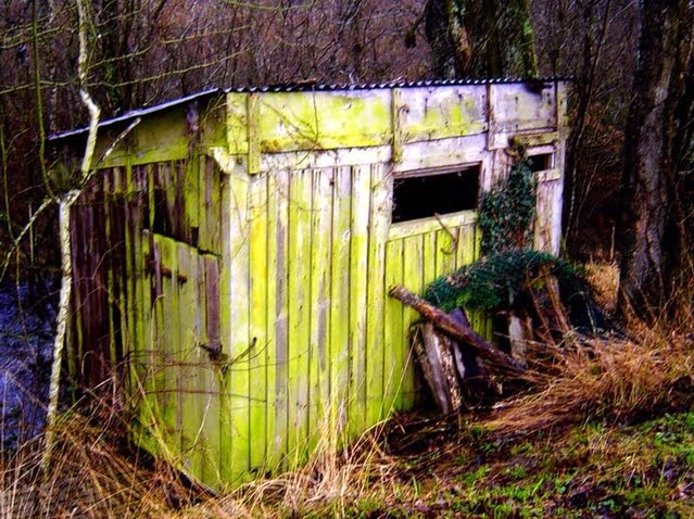 La cabane où les juifs se cachaient