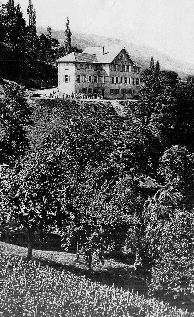 La colonie des feux follets