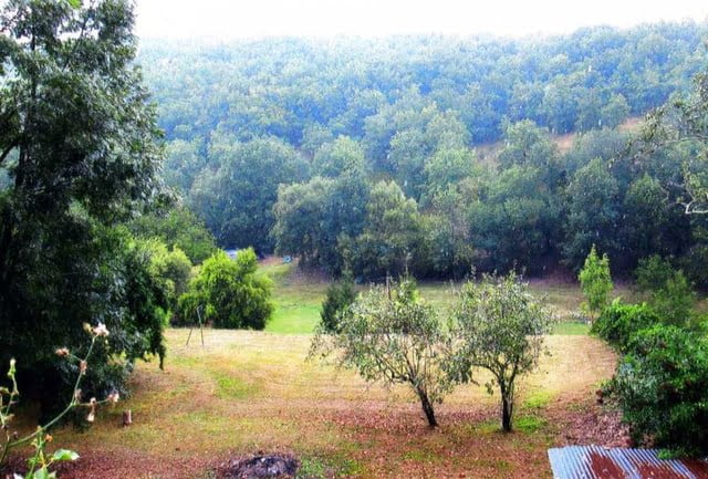 Lieu du sauvetage, bois